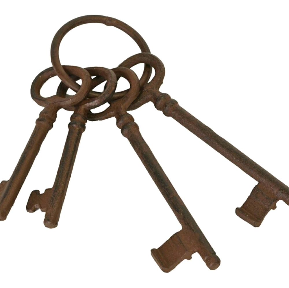Cast Iron Skeleton Keys on Ring, Set of 2